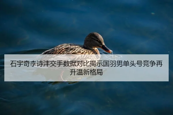 石宇奇李诗沣交手数据对比揭示国羽男单头号竞争再升温新格局 | HUOBOSPORTS